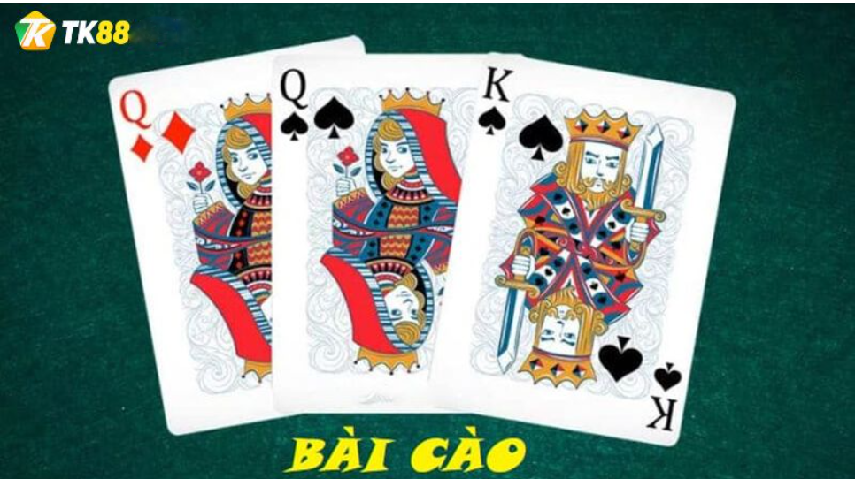 BÀI CÀO